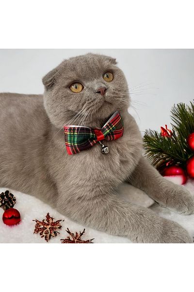 Melo Plaid Patterned Cat and Small Breed Dog Collar