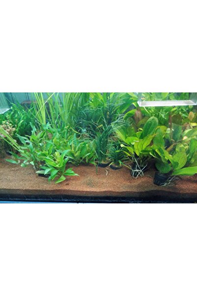 Vitasand Pro-92 Kırmızı Bitki Kumu 2 Mm - 20 Kg. (kova)