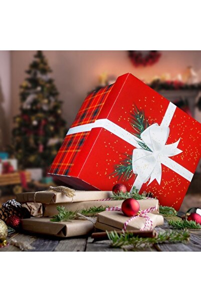 COSMOSART 3 Lü Hediye Kutu (24*24*24) Cm