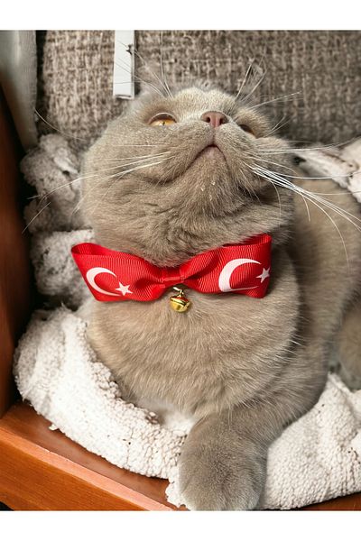 Melo Turkish Flag Patterned Ribbon Cat and Small Breed Dog Collar