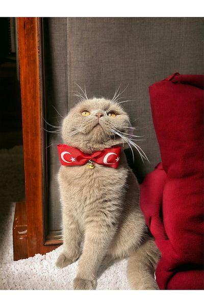 Melo Turkish Flag Patterned Ribbon Cat and Small Breed Dog Collar