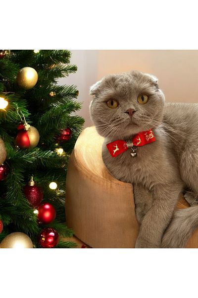 Melo Happy Birthday Red Christmas Themed Ribbon Cat and Small Breed Dog Collar
