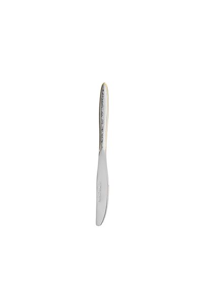 ROYALFORD 2-piece Stainless Steel Table Knife- RF12553