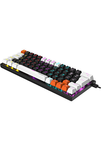 Everest Parley Rainbow Aydınlatmalı Türkçe Q Blue Switch Mekanik  Klavyesi Siyah Beyaz