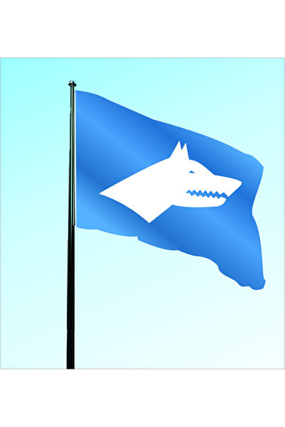 bayrakal Göktürk Bayrağı, Beyaz Kurt 70x105cm