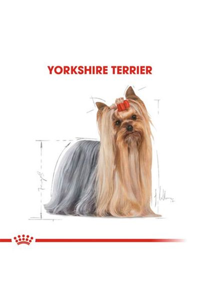 Royal Canin Yorkshire Terrier Adult Adult Dog Canned 85 g