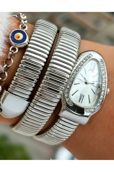 DNZTREND Zircon Steel Stone Detail Luxury Snake Watch