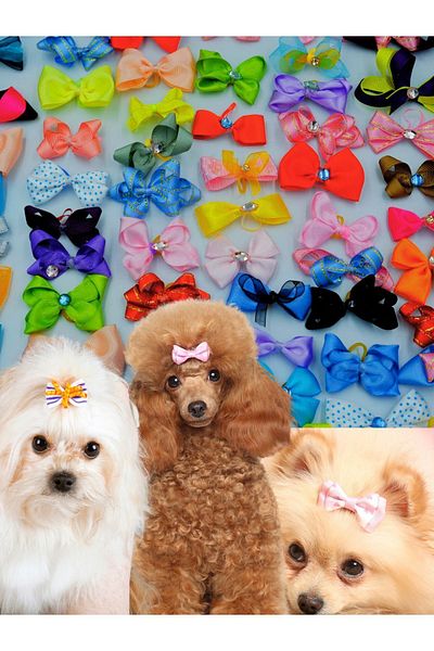 Hubjua Royal 10 Pieces Luxury Stone Dog Buckle Bow Accessory Elastic Buckle