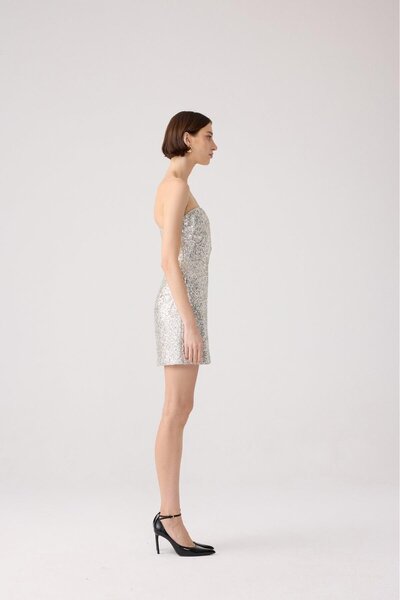 rue Strapless Sequin Gray Mini Dress