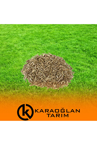 karaoğlan tarım 7 Günde Çimlenen 7'li Karışım Basmaya Ve Soğuklara Dayanıklı Çim Tohumu 1 Kg