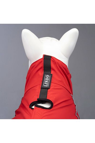 Lindodogs Lindo Dogs Quattro Nova - Red Size Dog Raincoat 2