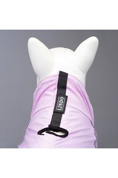 Lindodogs Lindo Dogs Quattro Laika - Lilac Size Dog Raincoat 1