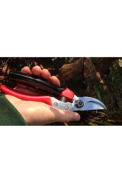 Ars Vs-8z Pruning Scissors 20cm By-pass