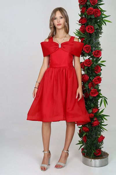 Wild Flower Girls' Evening Dress Girls' Dress Girls' Birthday Party Dress