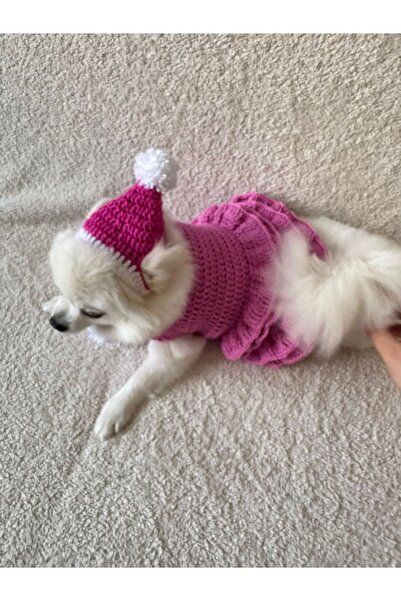 SARE SÜS EVİ KÖPEK ŞAPKASI