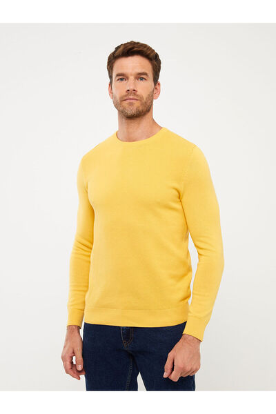 LC Waikiki سترة تريكو رجالية - كم طويل، رقبة دائرية