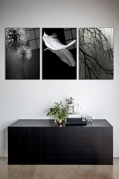 Vosevu Siyah Beyaz Temalı Tüy Kombin 3'lü Cam Tablo Seti, Modern Ev Ofis Deko...