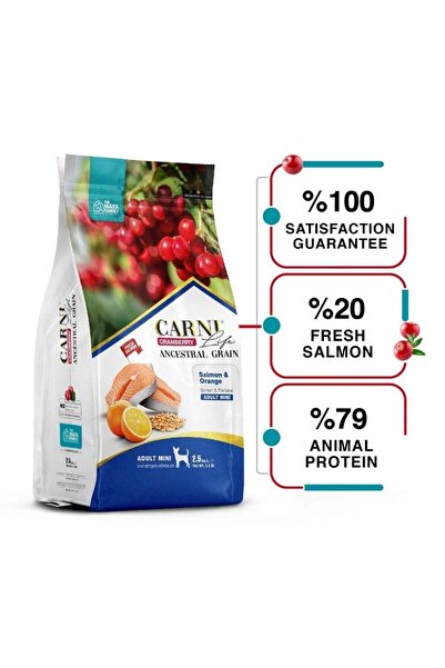 CARNİ LİFE Carni Life Adult Mini Somon Balığı ve Portakallı Küçük Irk-Mini Kö...
