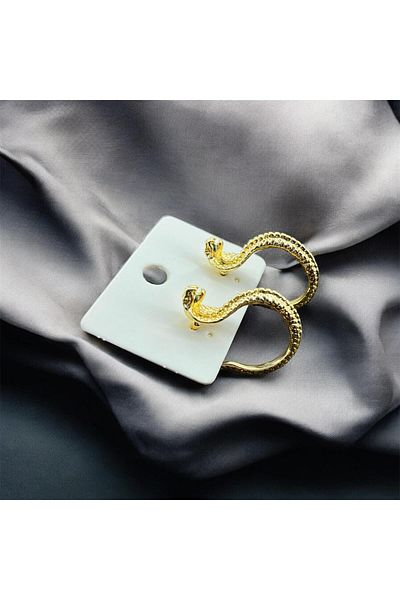 Candy Snake Shaped Hoop Earrings