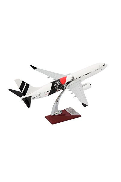 zekupp Boeing 737-800 1/100 Ölçek Kartal Tasarım Beyaz Maket Uçak
