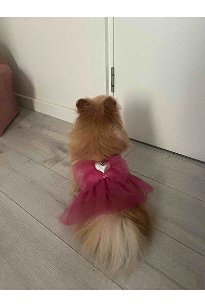 Gobo Pembe Kareli Kalpli Tüllü Kedi Köpek Kıyafeti Elbisesi Medium/M/Beden 2