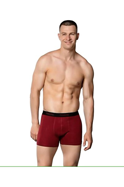 Genel Markalar GÜMÜŞ 3'lü Bordo Erkek Boxser