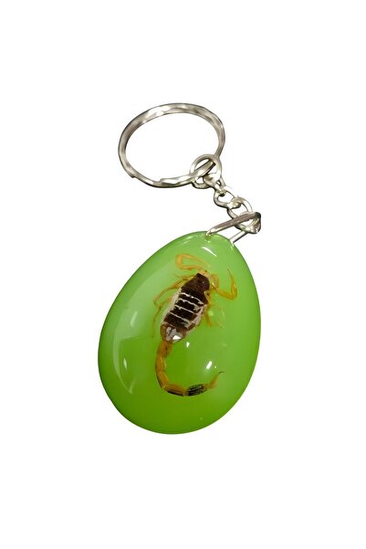 EXENET Doğal Akrep Fosil Reçine Epoksi Anahtarlık Özel Tasarım, Benzersiz Kol...