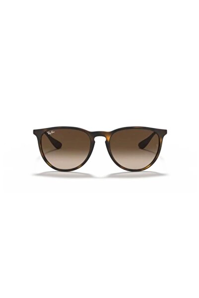 Ray-Ban Rayban Unisex Güneş Gözlüğü RB4171-865/13
