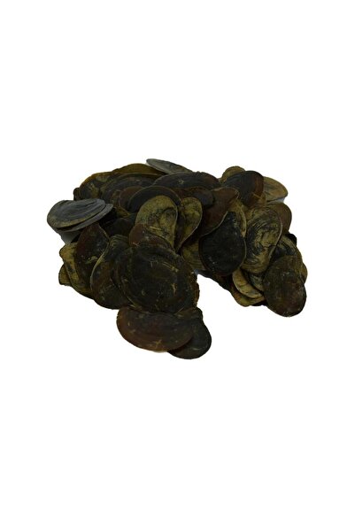 LokmanAVM Saf Doğal Cin Tırnağı Bitkisi 100 Gram Mini Paket