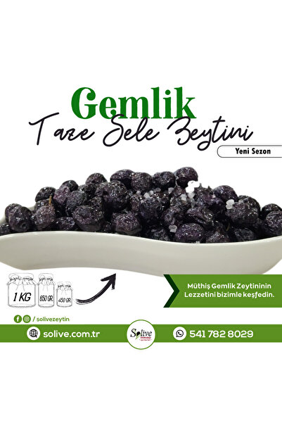 solive Gemlik Taze Sele Zeytini 1 Kg