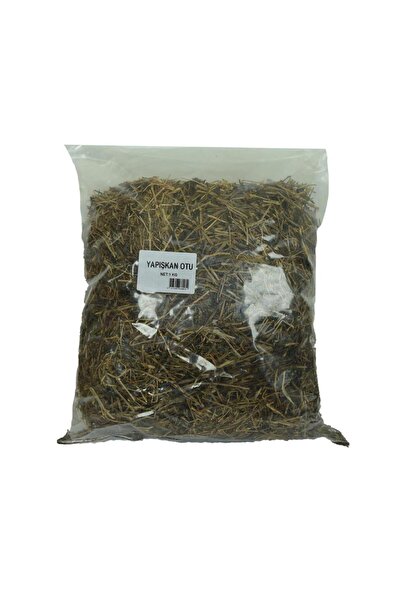 Doğan Baharatçılık Yapışkan Otu Andız Otu Yoğurt Otu Kazotu 1kg