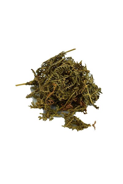 Doğan Baharatçılık Eğrelti Otu Doğal Kiloluk Eğrelti Bitkisi 1kg