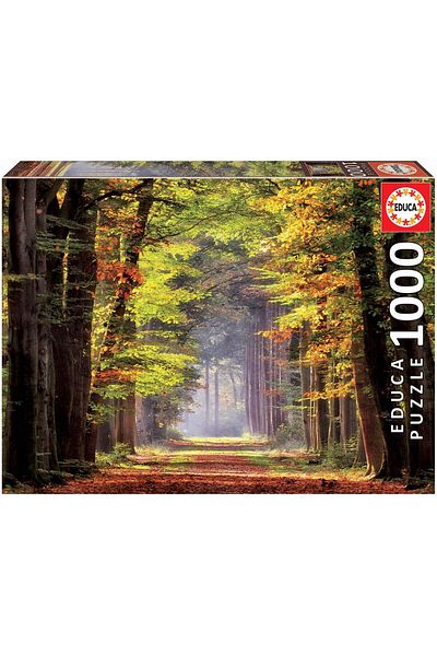 EDUCA Fall Walkaway 1000pcs 19021