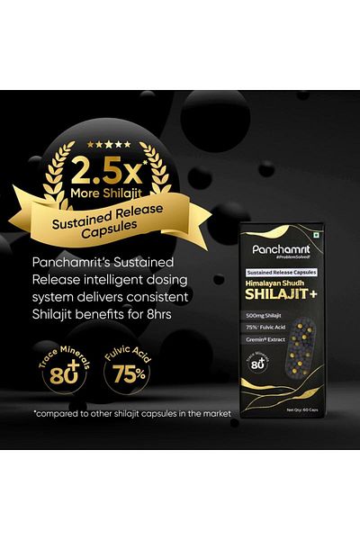 Panchamrit Shilajit 500 mg Capsules 60