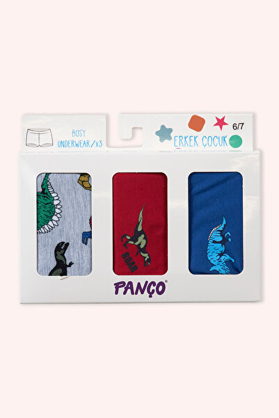 Panço Erkek Çocuk Dinazor Desenli 3'lü Boxer