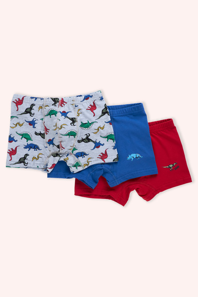 Panço Erkek Çocuk Dinazor Desenli 3'lü Boxer