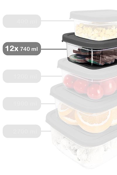 Meleni Home 12 Pieces Gray Rectangular Food Storage Container - 740ml Microwavable Organizer