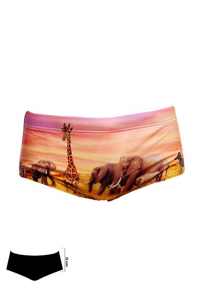 Funky Trunks Circle of Life Boy Training Swimsuit