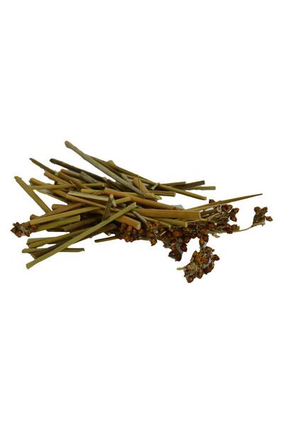 LokmanAVM Doğal Kayışkıran Otu Saf Kayış Kıran Bitkisi 100gr Paket