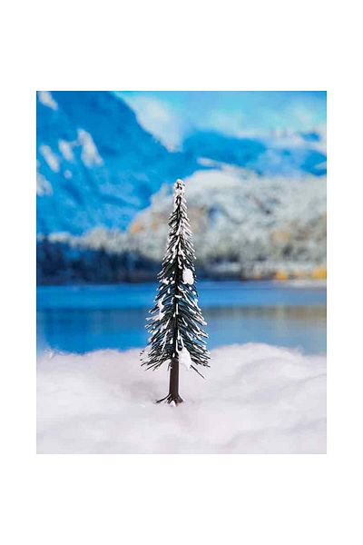 Jordania Redwood Winter Pine - 5 Cm, Pack of 2