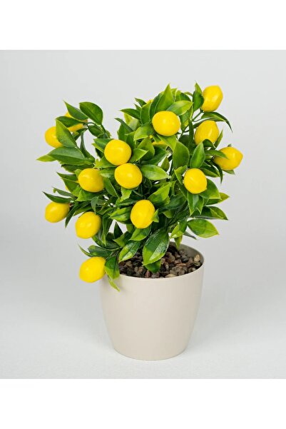 RUZGARCİCEK Изкуствена флористика „Лимоново дърво“ в бял саксиен