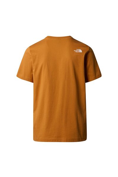 THE NORTH FACE Ανδρικό μπλουζάκι M S/s Mountain Line Tee Nf0a87ntpco1 Brown-l