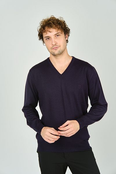 Woolen World Ανδρικό μακρυμάνικο μάλλινο πουλόβερ με λαιμόκοψη V 3022 Plum