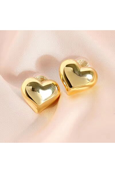 monalisatoka Kadın Gold, Gümüş Kalp Küpe 2'Li Set