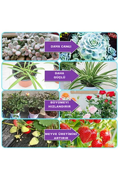 Store Bitki Çiçek Büyütme Işığı Led 4lu Dim Ayarlanabilir Zamanlayıcı Tam Spektrumlu Usb Bitki Lambası