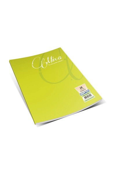 Gıpta Mica Wire Stitched Pp Cover Notebook A4 Lined 40Yp 1702