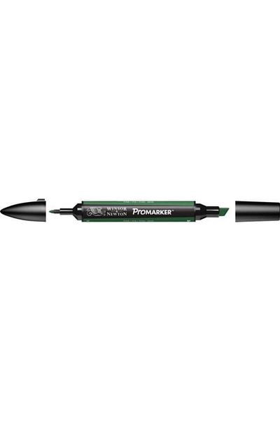 Winsor Newton Promarker Graphic Drawing Pen - Double Tip, Alcohol Based, Pine 244 (G635)