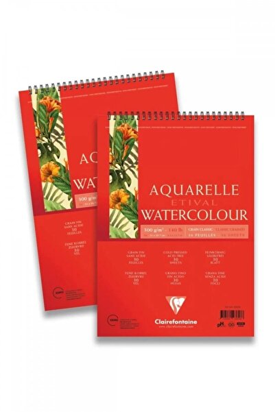 Clairefontaine Etival Classıc A5 300 gr Üstten Spiralli 30 Yaprak - Tekli