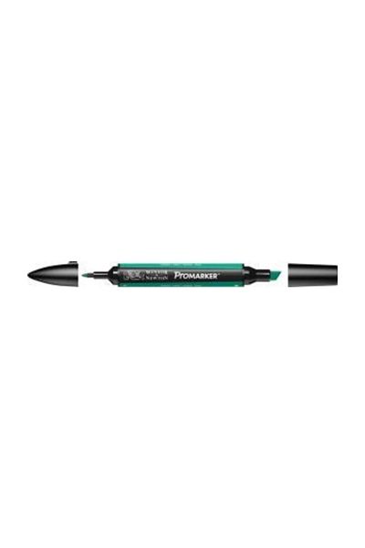 Winsor Newton Promarker Double Ended Alcohol Based Graphic Drawing Pen Green 289 (G847)