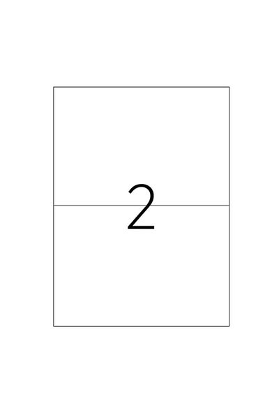 Tanex 210X148.5 mm Laser Label Tw-2102